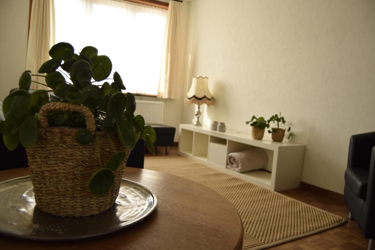 Vakantiewoning Wurfeldermolen Maaseik Ngoại thất bức ảnh